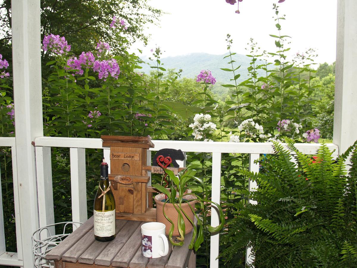 Henson Cove Place Bed And Breakfast W/Cabin Hiawassee Exterior photo